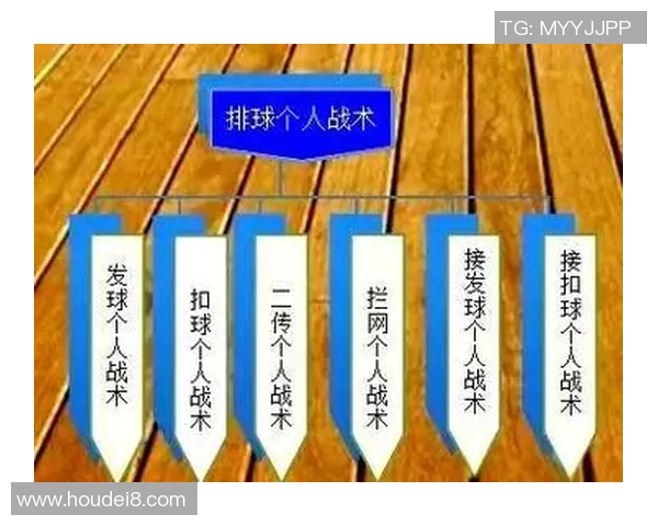 杭州排球队整体压制战术解析与深度剖析排球竞技的胜负关键