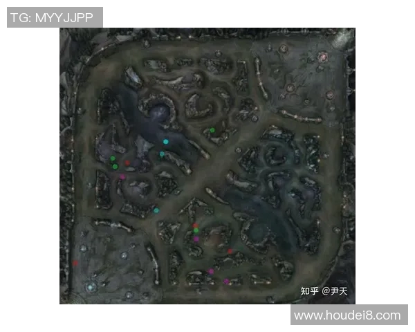 深入分析EDG战队的控制打法与战术精髓