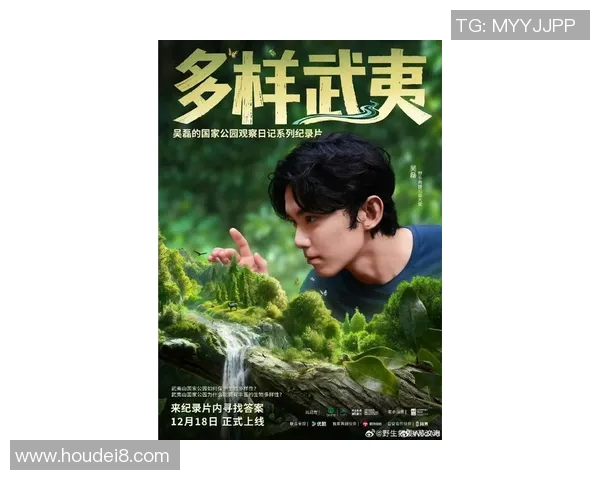 深度探讨吴磊在王者荣耀中的成长与挑战之路