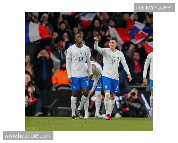 法国队与爱尔兰足球对决精彩回顾与赛后分析