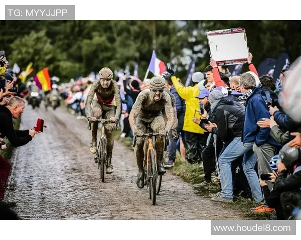 米美洲与老虎竞技的巅峰对决谁能在赛场上笑到最后