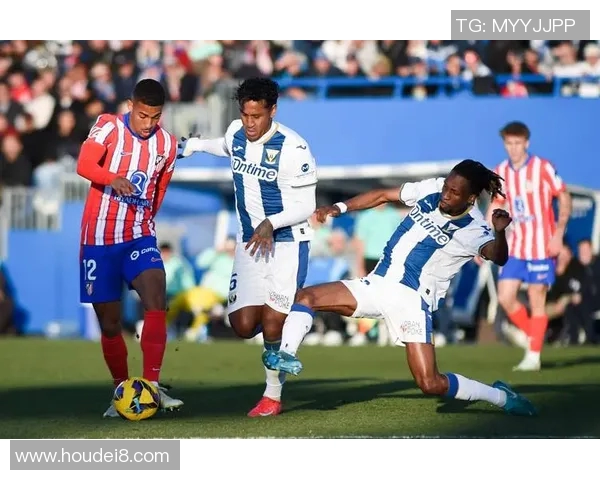 罗森博格迎战萨尔普期待精彩对决双方实力对比引人关注