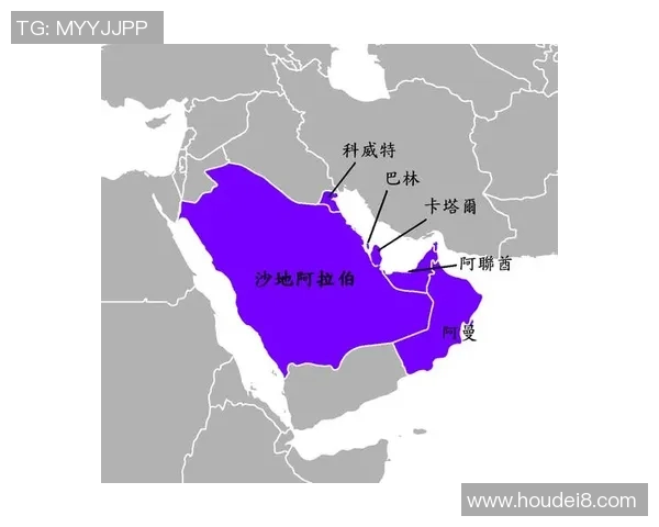 阿联酋与巴林历史交锋战绩详解及未来展望分析 阿联酋与巴林历史交锋战绩详解及未来展望分析
