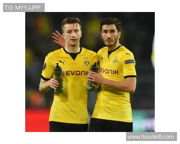 2019年多特蒙德与利物浦激情对决回顾及赛后分析