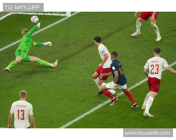 丹麦与法国精彩对决全场录像回顾及精彩瞬间分析