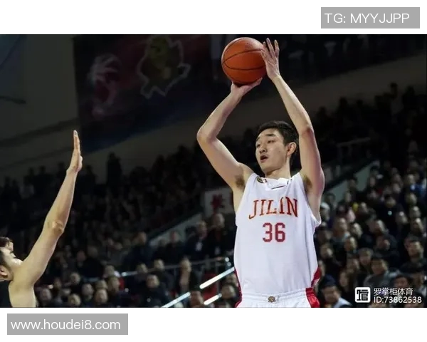 代怀博的成长之路与未来发展展望：从新星到行业领军者的蜕变之旅